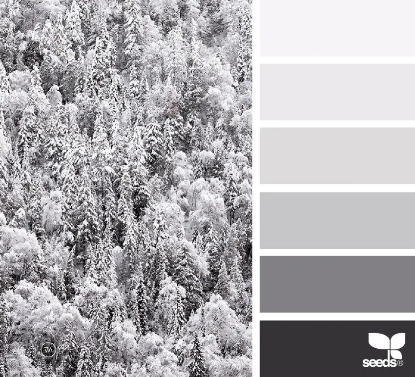 Snowy Summit color palette