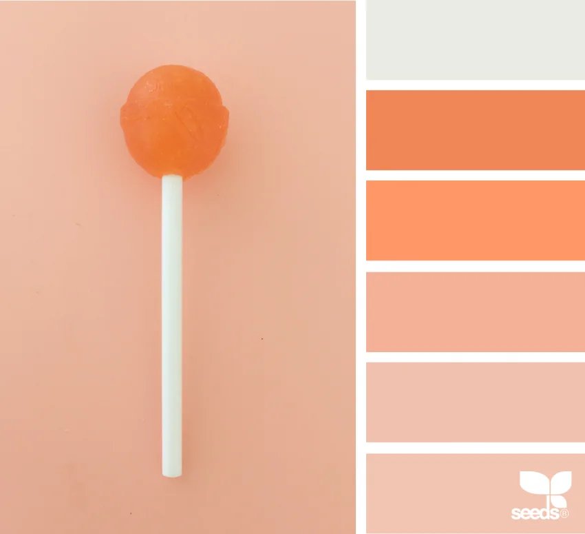 Suckers for Orange color palette