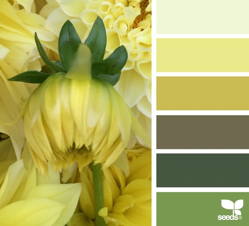 Golden Garden color palette