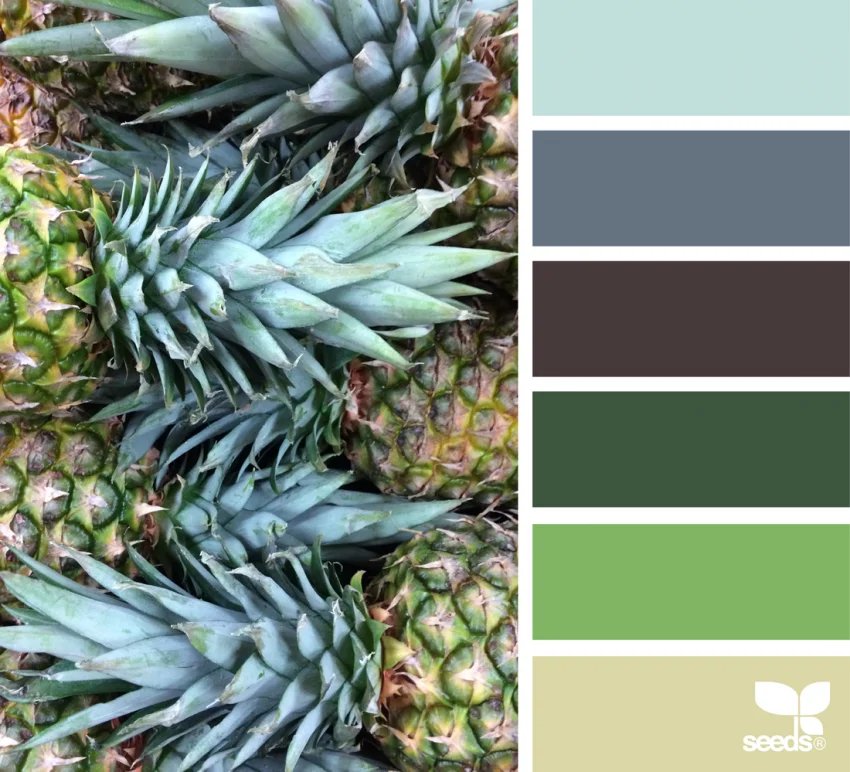 Tropical color palettes for adult coloring pages