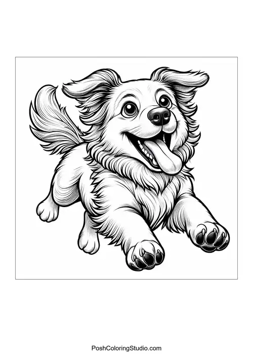 A dog with a big smile, looking playful and happy.