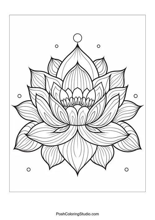 A large lotus flower surrounded by smaller blooms.