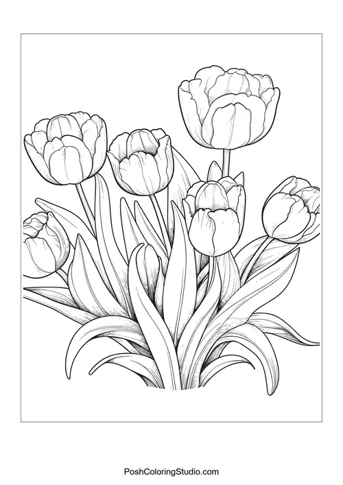 A small group of tulips with varying heights and shapes.