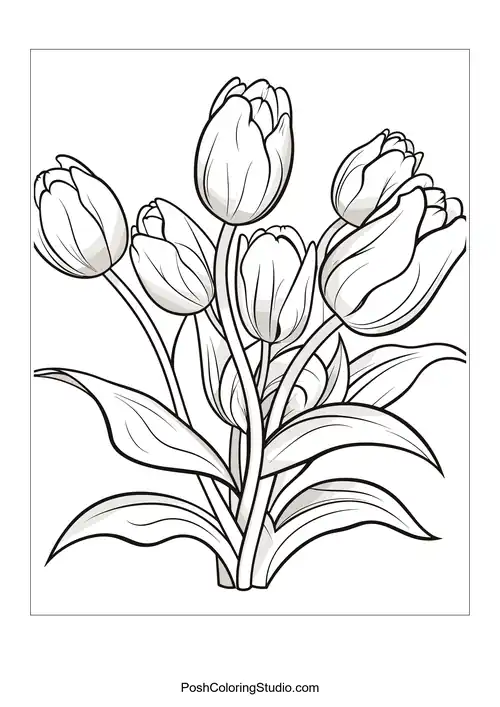 A group of tulips with smooth, flowing lines.