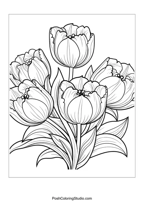 A small group of tulips with intricate petal designs.
