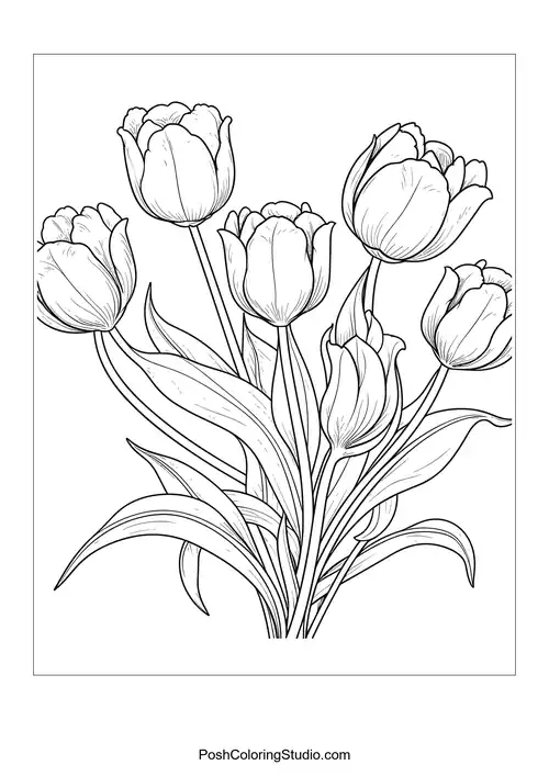 A group of tulips with smooth lines and elegant shapes.