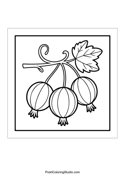 A branch of gooseberries with leaves.