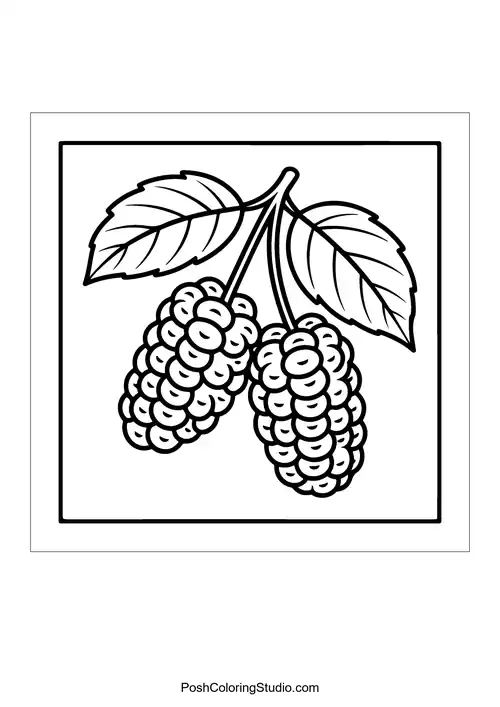 A cluster of blackberries with leaves.