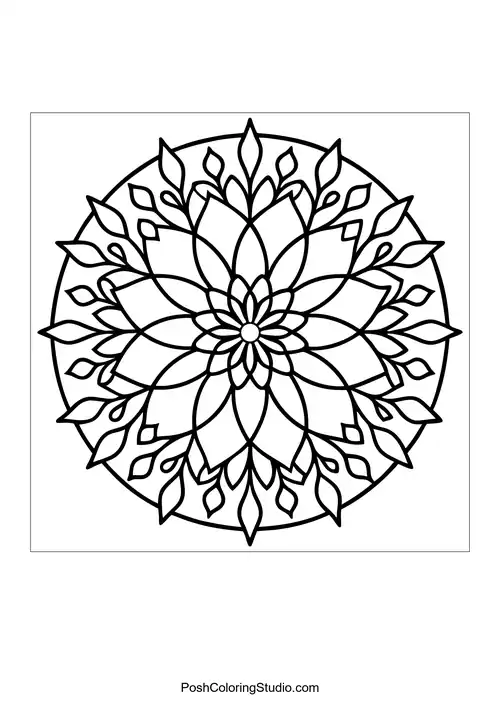 A flower mandala with elongated petals and a circular center.
