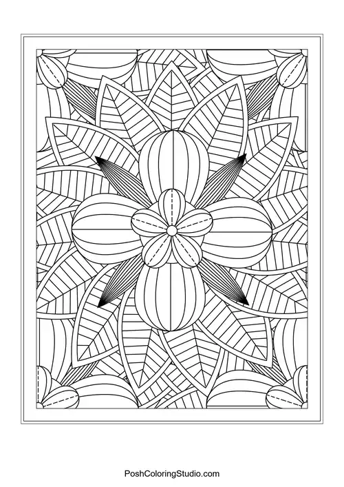 A floral arrangement with rounded petals and overlapping leaves.