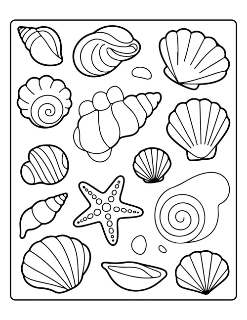 A scattered pattern of seashells — free printable monochrome summer coloring page