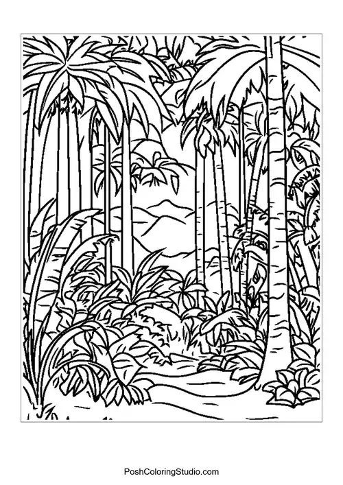 A dense rainforest with various trees and plants.