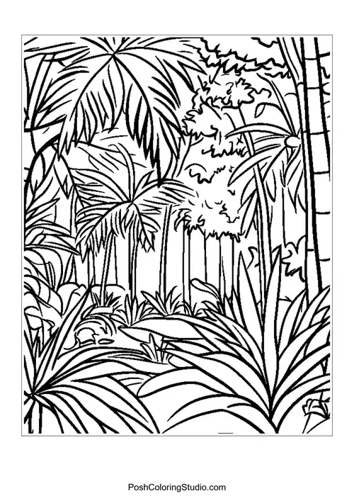 A winding path through a dense rainforest with tall trees.