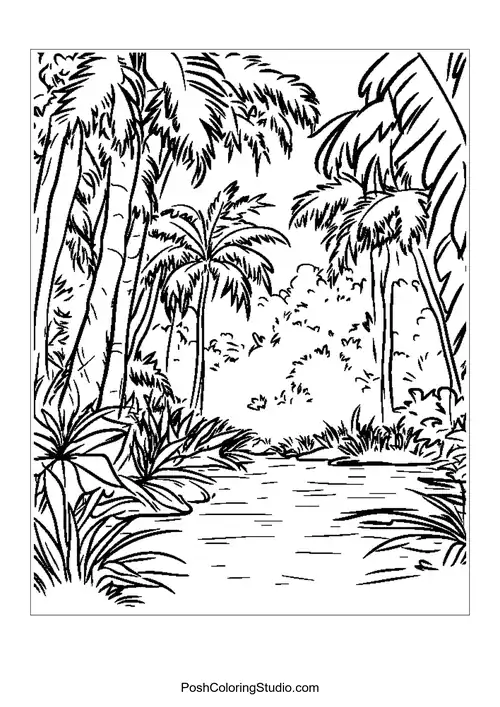 A winding path through a dense rainforest with tall trees.