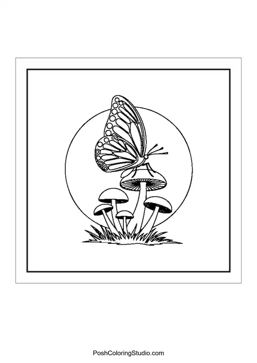 A butterfly perched on a mushroom with a circular background.