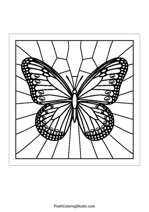 A butterfly with a web-like background.