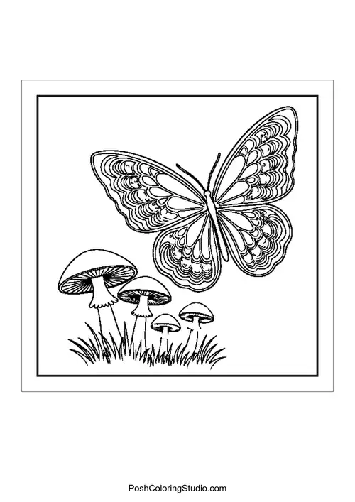 A butterfly flying above mushrooms in a garden.