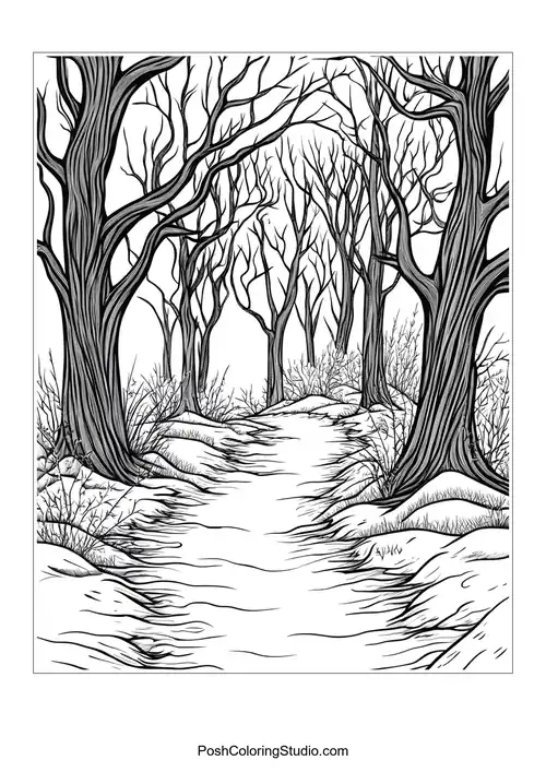 A path through a snowy forest with bare trees.