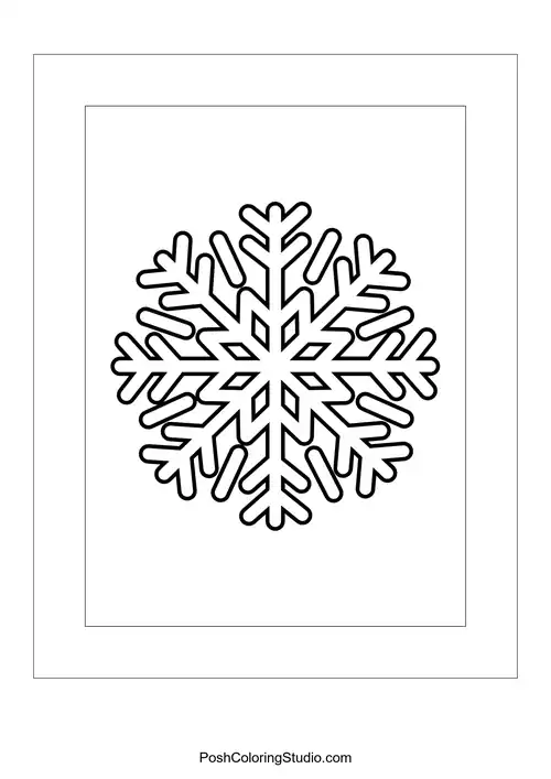 A snowflake with a classic design and six evenly spaced branches.
