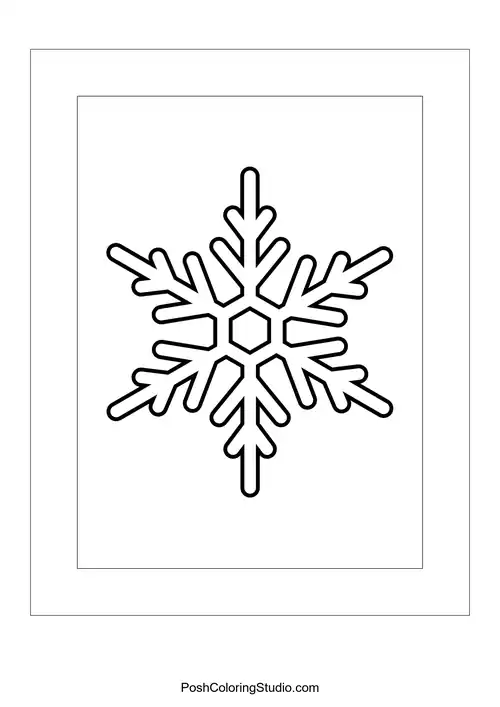 A snowflake with six branches and a hexagonal core.