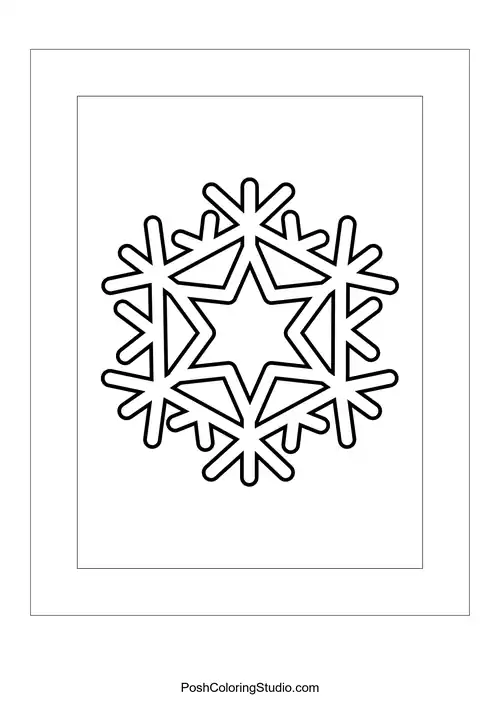 A snowflake featuring a star shape at its center and intricate branches.