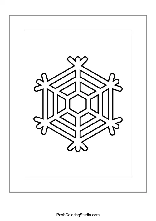 A snowflake with a hexagonal pattern and multiple layered branches.