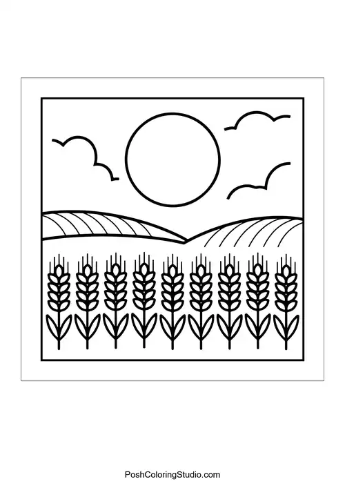 Wheat fields under a sun with clouds in the sky.