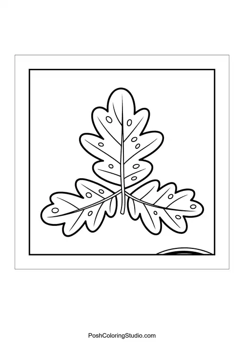 Three oak leaves with detailed veins.